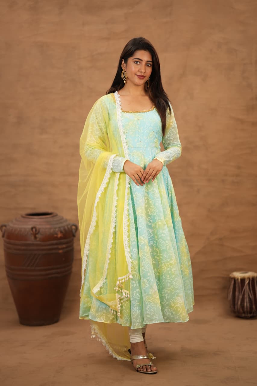 Anvika - Premium Designer Anarkali